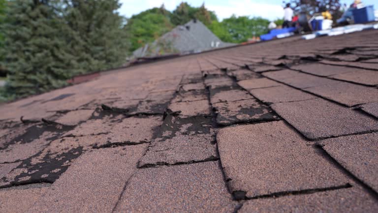 Best Cold Roofs  in East Franklin, NJ